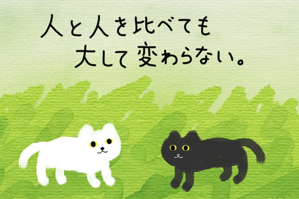 白猫と黒猫を比較しても「猫だな」という結論しか出ない