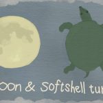 moon and softshell turtle